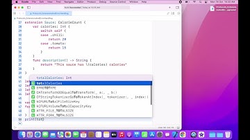 8.  Protocols, Extensions, and Error Handling