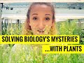 Exploring Plant Metabolites