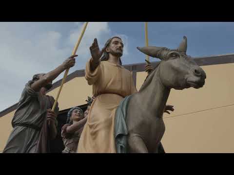 Real Cofradía de Jesús en su Entrada Triunfal en Jerusalén