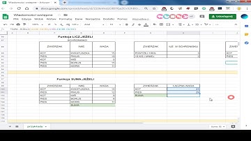 Funkcja SUMA.JEŻELI - zadanie z wiadomości wstępnych