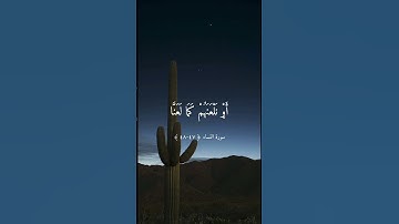 القرآن الكريم راحة نفسية تلاوة خاشعة حالات واتس اب قرآن كريم
