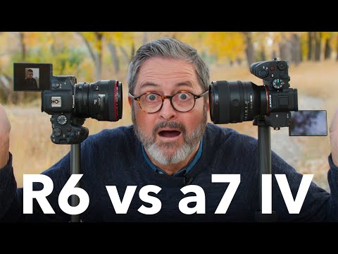 Sony a7 IV vs Canon R6 Hands On Camera Comparison