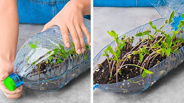 Unusual Hacks For Growing Plants Anywhere 🌱 || Gardening Tips & Hacks For Beginners 🌼