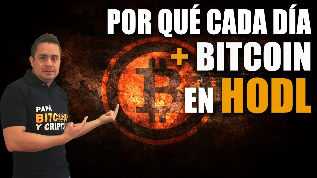 BITCOINS de: Holders, Ballenas, Trader y Servicios - YouTube