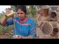 MASALA TEA RECIPE | MASALA CHAI | HEALTHY VILLAGE FOOD