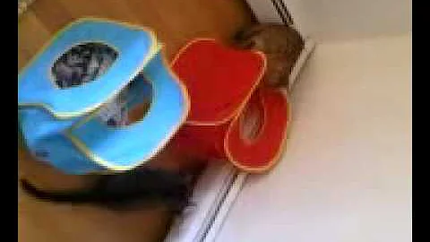 Watch the video about F1 Asian Leopard Cat and F2 Jungle Cat Hybrid meet.