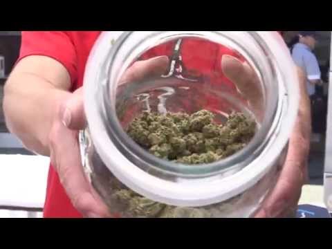 2014 HIGH TIMES Seattle US Cannabis Cup: Sunday Highlights