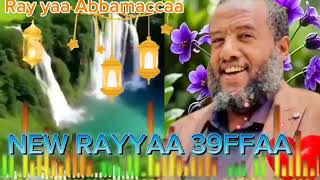 Download Lagu Raayyaa Abbaa  Maccaa 2026 MP3