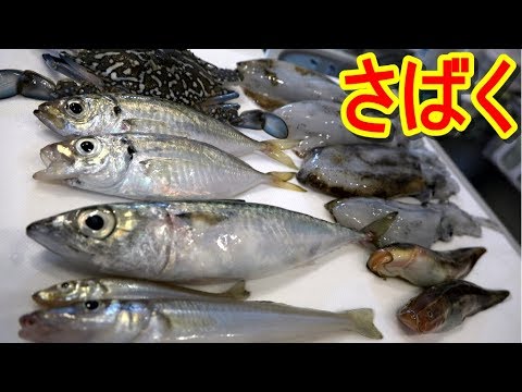 釣った魚の豪華フルコース作ってみた！『ゴンズイのさばき方』