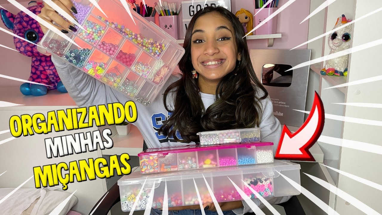 ORGANIZANDO MINHAS NOVAS MIÇANGAS | O MUNDO DE LARISSA