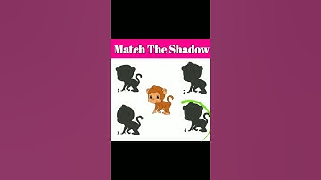 Paheli #5 Match The Shadow || Riddles in Hindi||Hindi Paheliyan|| Riddles || iq Test #shorts
