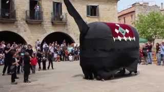 Ball Mula Baba, Mulassa de Girona