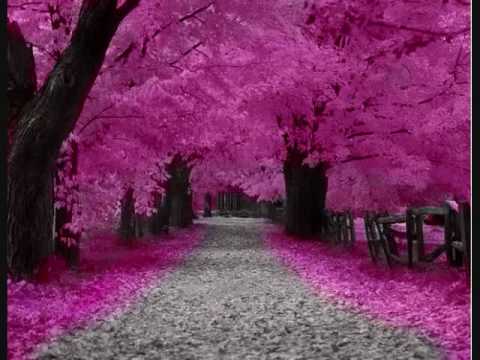 Ver J-Core: Dj Noriken - Sunset Emotion no YouTube Ver J-Core: Dj Noriken - Sunset Emotion no YouTube