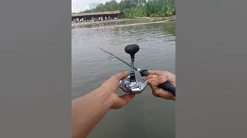 Câu giải Cánh Đồng Sen