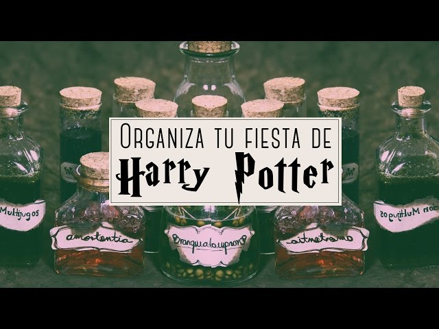 Fiesta harry potter, Dulces de harry potter, Harry potter fiesta