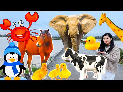 Learn the fun of familiar animals: cows, elephants, horses, ducks, chickens, giraffes