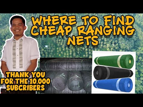 Video: Mga Sukat Ng Netting-netting: Ilang Metro Bawat Rolyo? Taas, Laki Ng Mesh, Mesh 10x10 At 20x20, 50x50 At Iba Pang Mga Laki