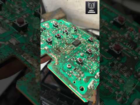 Desventaja de una licuadora digital #amasdecasa #serviciotécnico #plagas #electrodomésticos