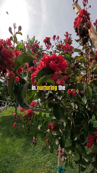 Embrace Change and Grow in Nature #nature #flowers #motivation