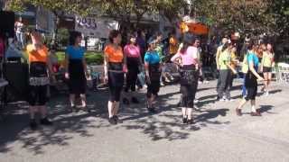 CLDAASelfHelpWalkathon10513
