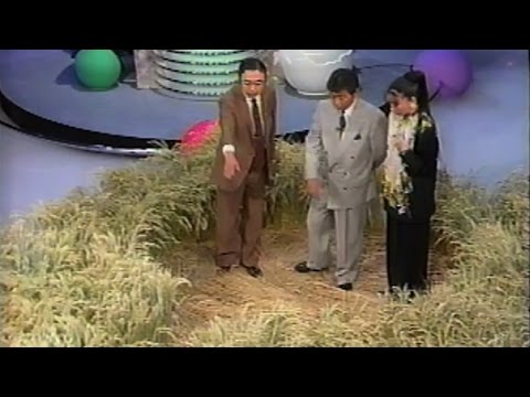 Crop Circles UK 1991 Japanese TV Special