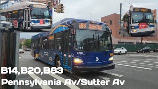 MTA B14,B20,B83 Bus Action @Pennsylvania Av/Sutter Av