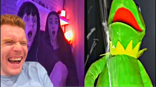 The best of Kermit on Omegle (so far) (TRY NOT TO LAUGH)