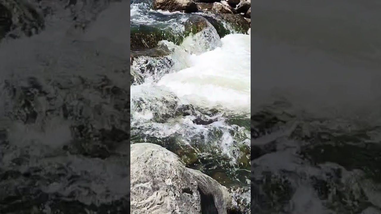 Scorpions and water