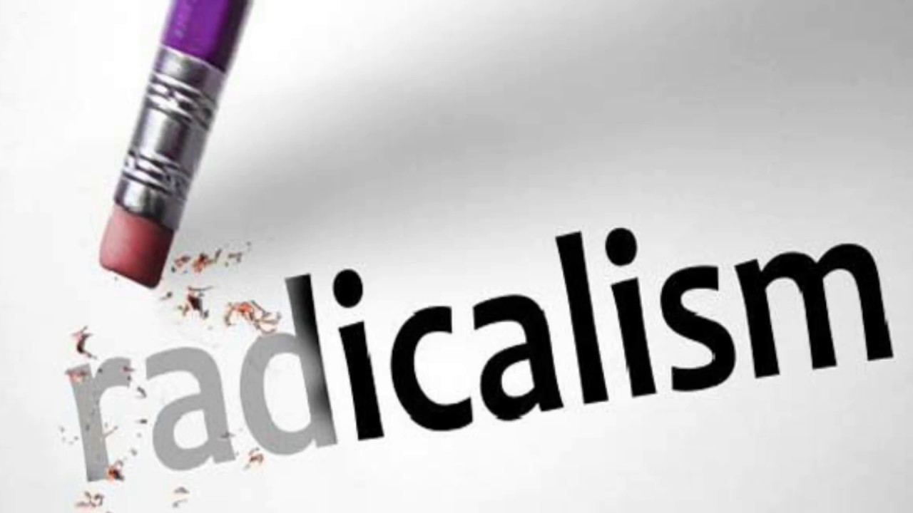 Радикализм это кратко. Идеи радикализма. Правый и левый радикализм.