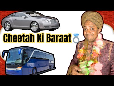 CHEETA SHB KI BARAAT