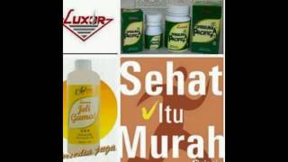 Agen Jelly Gamat Luxor Samarinda 081395240292