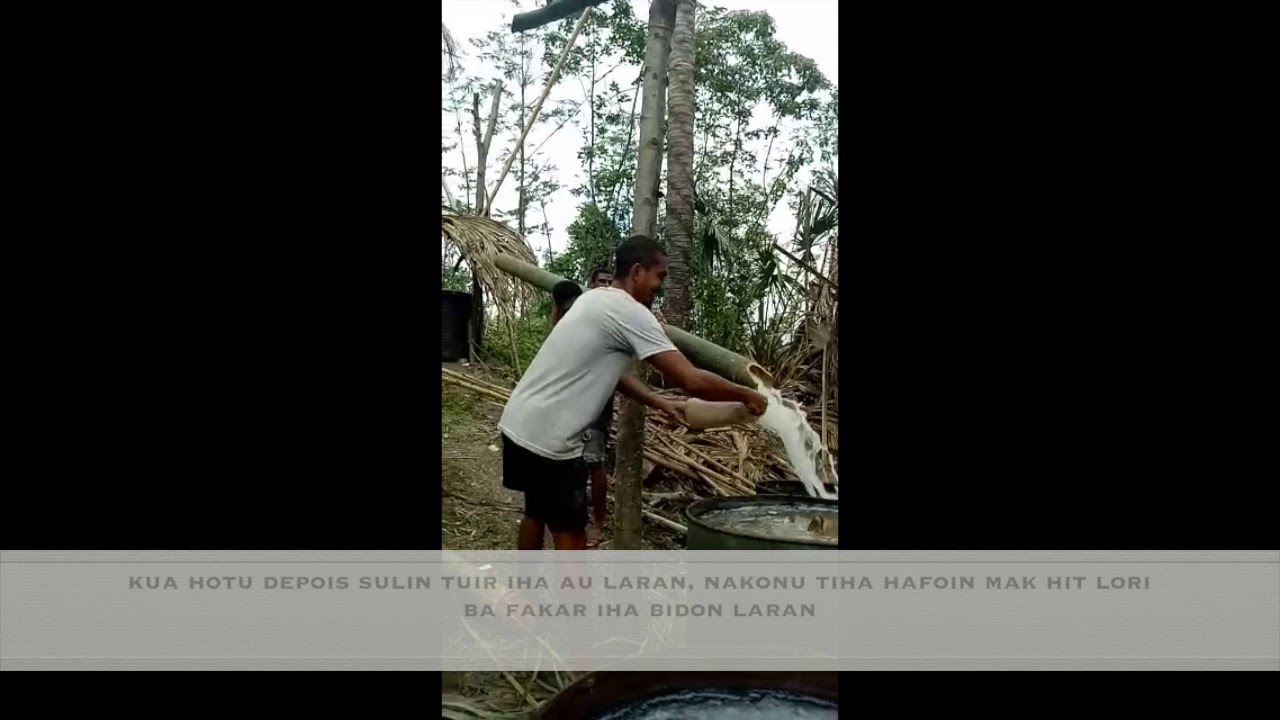 Prosesu halo Tua - Sabu 🍻🔥