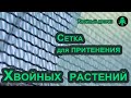 Сетка для притенения хвойных растений? Узнайте, чем мы притеняем посадочный материал