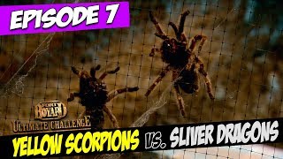 Yellow Scorpions Vs. Sliver Dragons | Series 5, Episode 7 | Fort Boyard: Ultimate Challenge