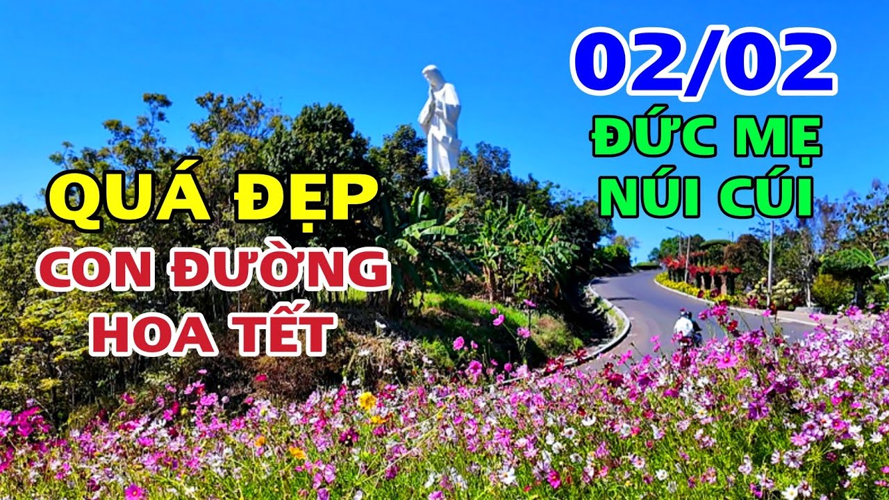 QUÁ ĐẸP CON ĐƯỜNG HOA TẾT 2026 TẠI ĐỨC MẸ NHÍ CÚI .