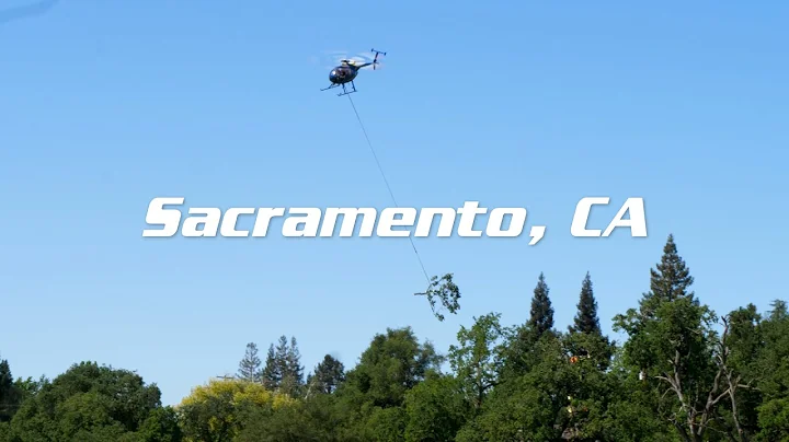 Mowbray's Tree Service - Sacramento, CA