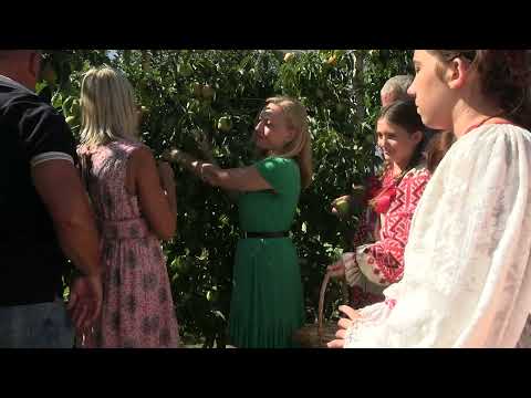 22. JABUKA CRVENIKA: OKUS TRADICIJE U VELIKOJ LUDINI