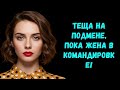 «Тёща даже не заметила подмены… пока не стало слишком поздно!»