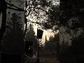 Yahav's birthday party 🎃 at a friendly underground gathering 🎏  #shorts Yosi on the deck