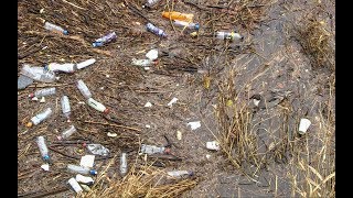 Scotland's Litter Problem