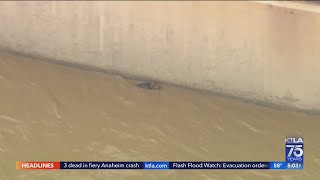 2 people, dog rescued from L.A. River amid rain storm