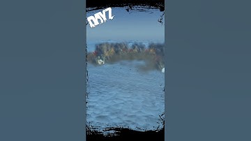 What happens if you Overload DayZ Server Audio? #dayz #dayzaudio