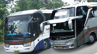 [BISMANIA] MANUVER BUS SUMBER ALAM VS BUDIMAN !! BUS AKAP PALING MANTUL screenshot 5