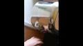 Video for Blowmotion storm Hand Dryer