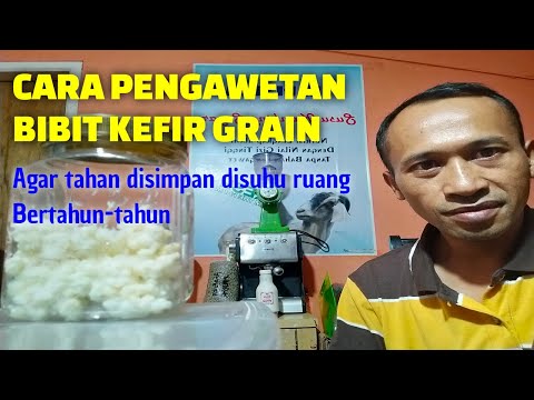 Cara mengawetkan bibit kefir grain - agar tahan disimpan disuhu ruang hingga 2 tahun