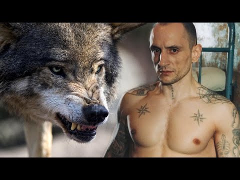 Беглые ЗЕКИ вломились