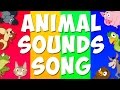 Animal Sounds Song | Learn Animals Sound