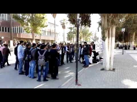 اعتصام طلبة الجامعة الاردنية عمون