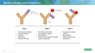 Recombinant Antibodies with SpyTag Technology