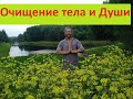 ЧИСТКА - Дикоросы, горечи, банки, Йога и практики -Результат на Лице и Теле / Система Школы РАДА